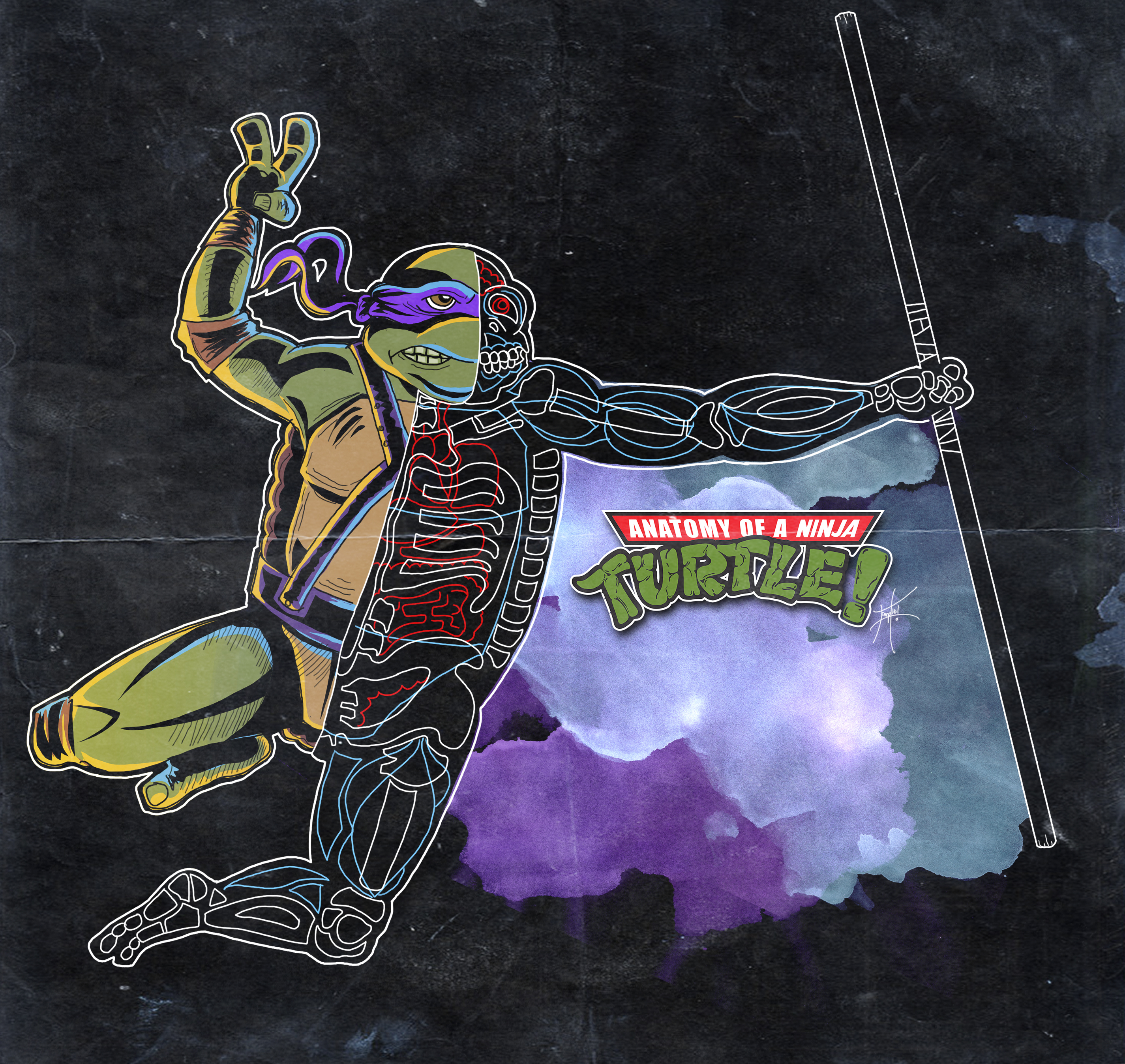 tmntanatomy